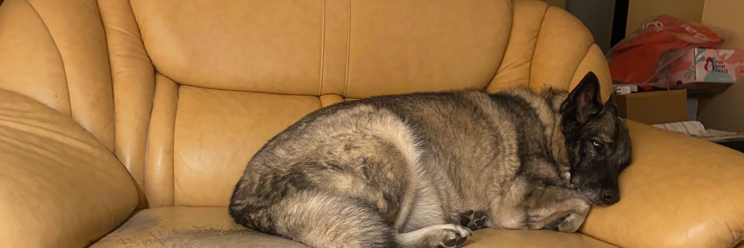 Tundra Elkhound banner