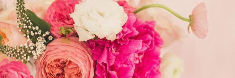 stacylv93's profile banner image