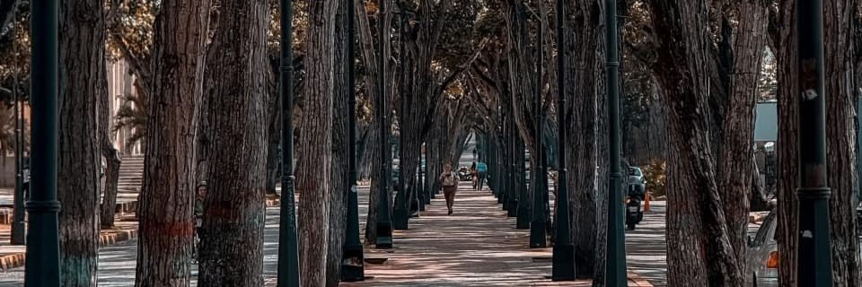monagasven's profile banner image