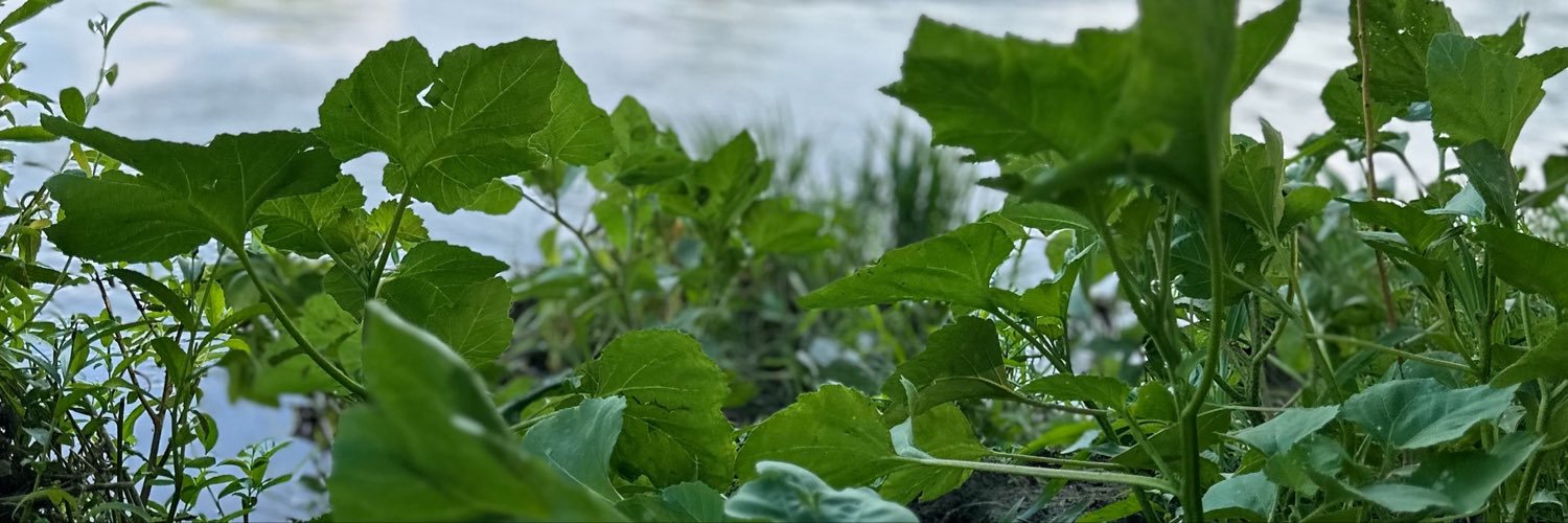 HalilC1903's profile banner image