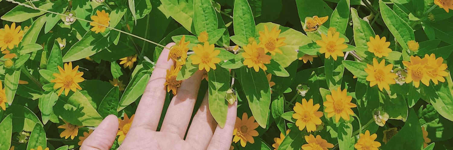 nabilaurr's profile banner image