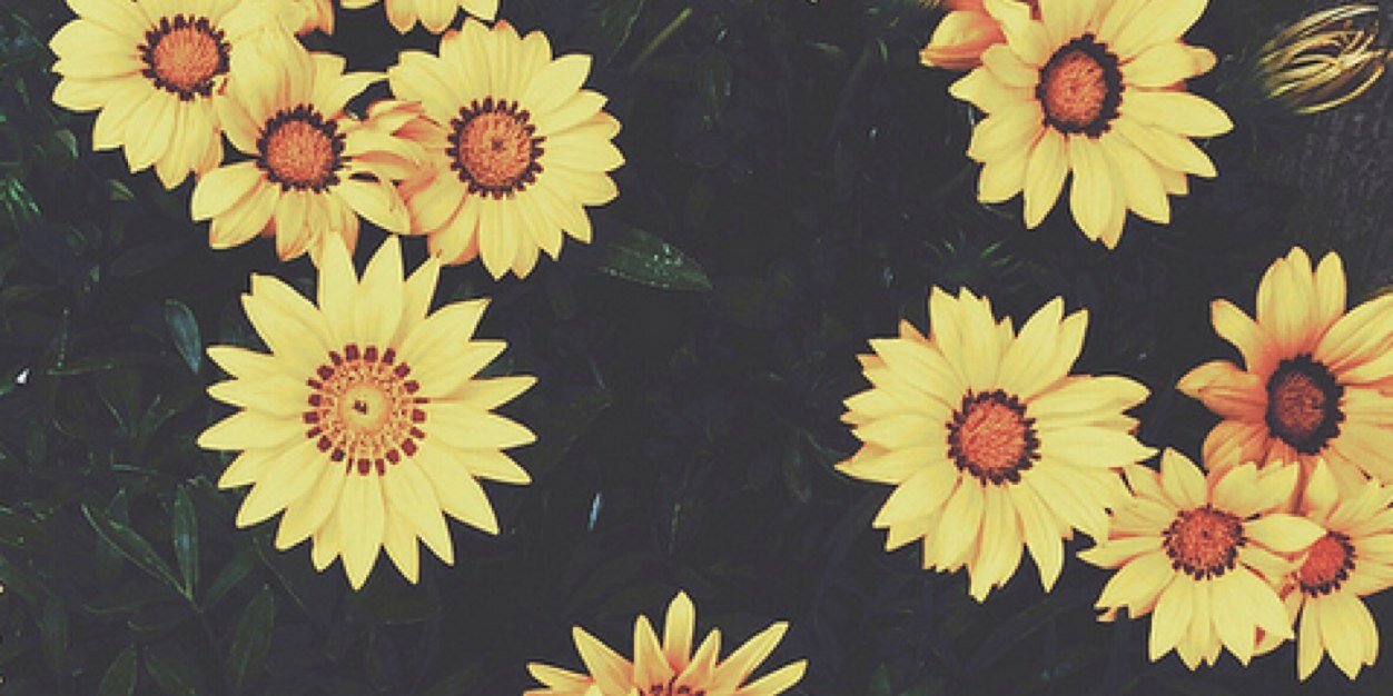 Angeeliica_D's profile banner image