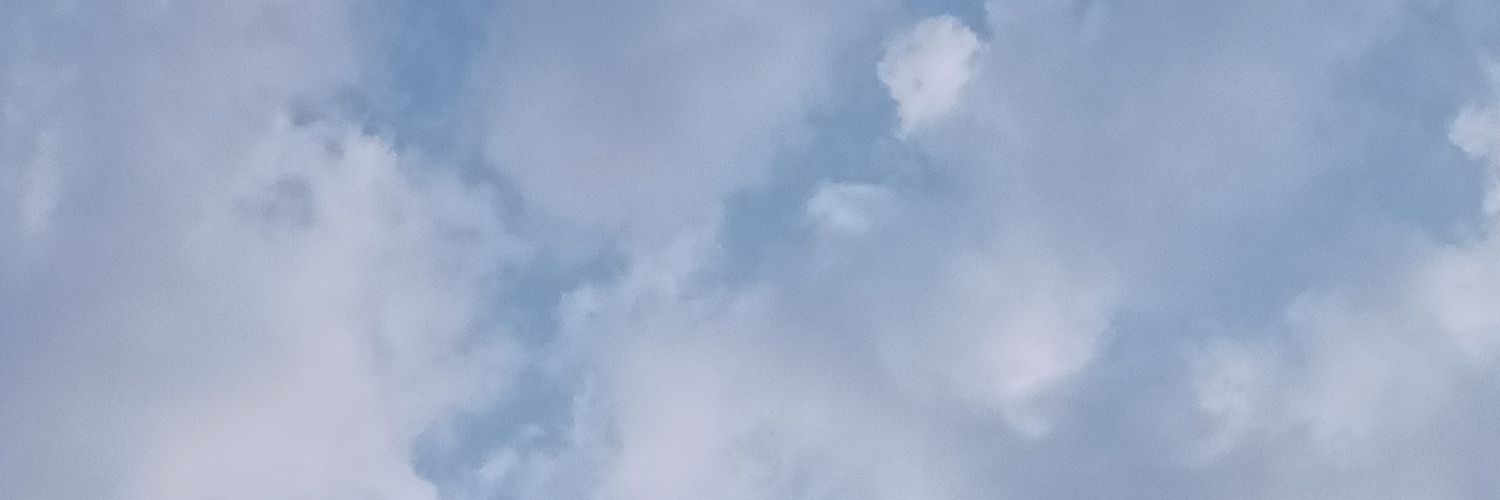pame_merida's profile banner image