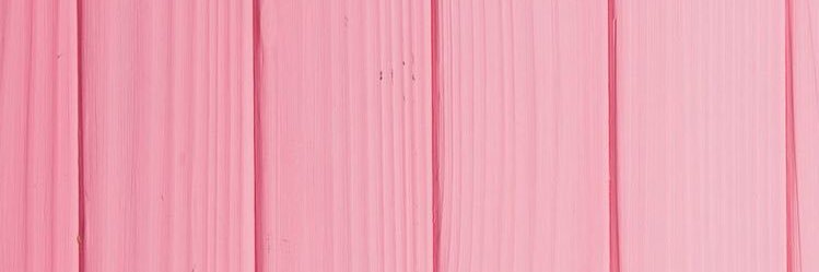 anisahiday's profile banner image