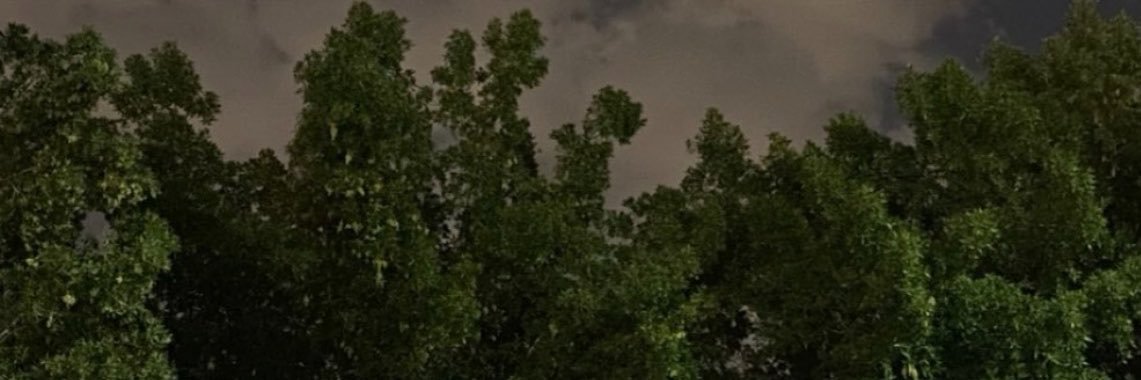 l2ijlj's profile banner image