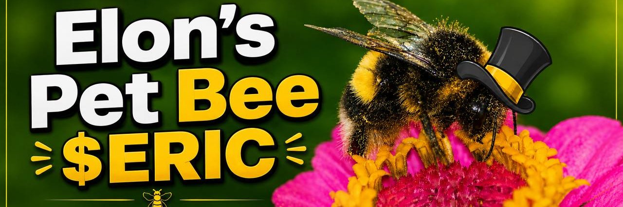 Ericbeebnb's profile banner image