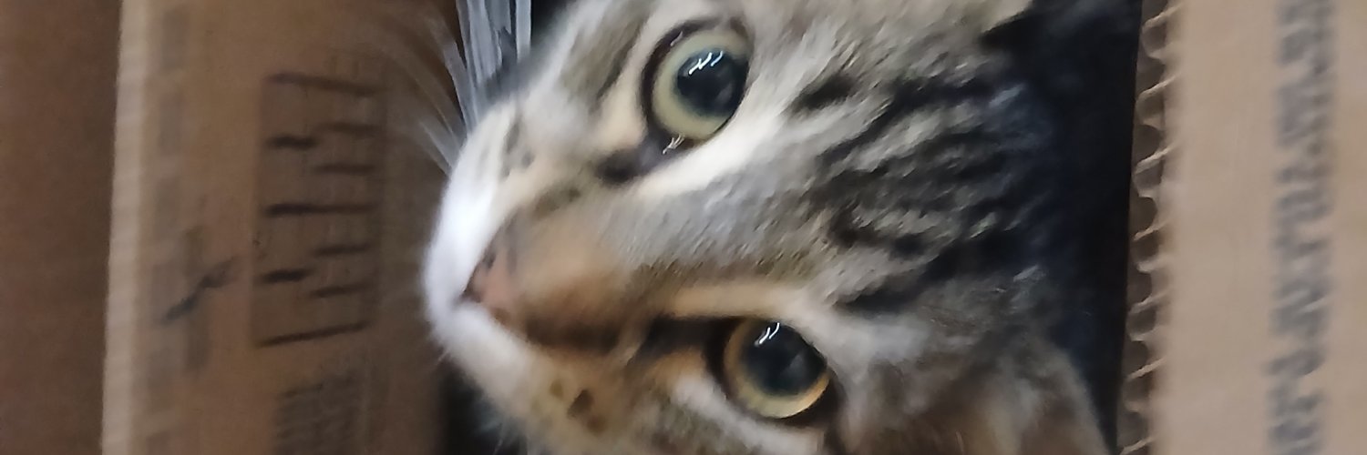 GGatocho's profile banner image