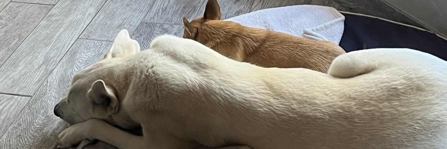 World’s Greatest Dog Dad banner