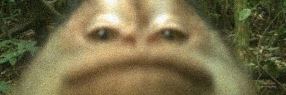 Nathan1lks's profile banner image