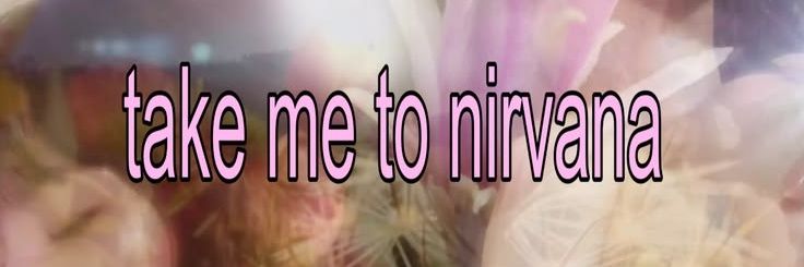 aisheecf's profile banner image