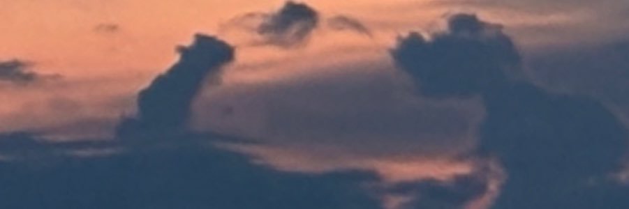 avassong's profile banner image
