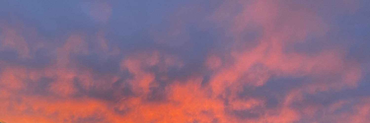 brantleysanger's profile banner image