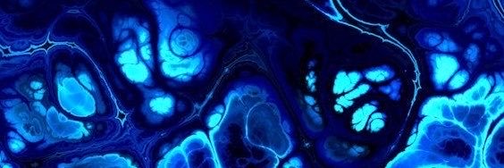 prettybluepup25's profile banner image