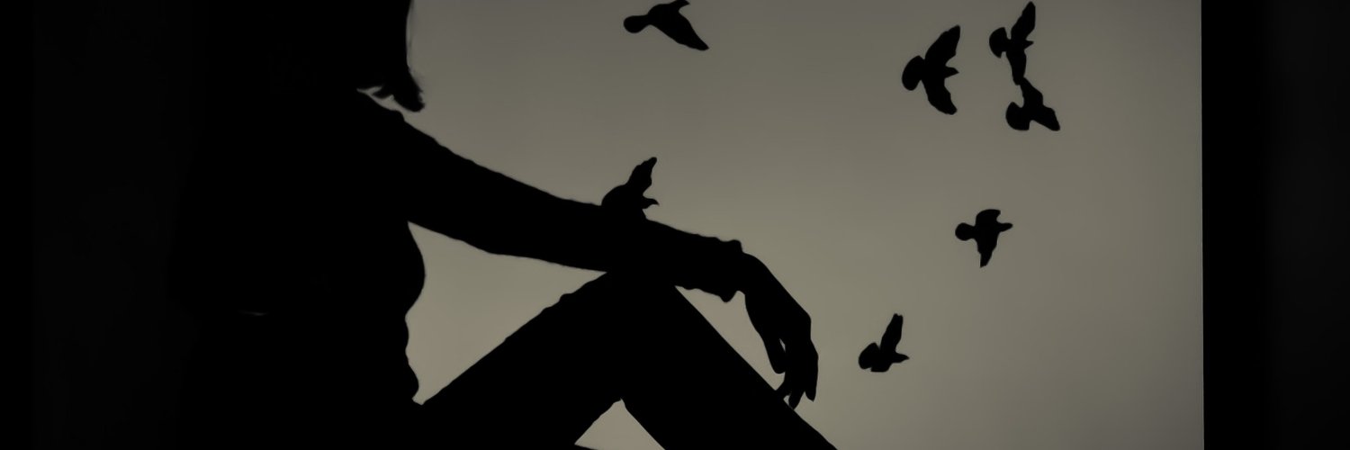 wil52828's profile banner image