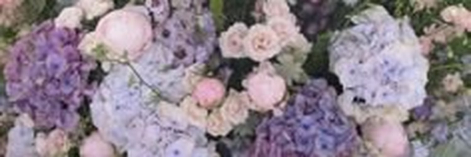wil29891's profile banner image