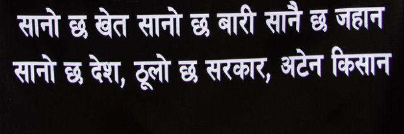 niraj banner