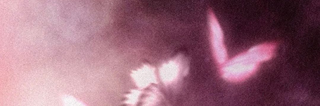 solstism_'s profile banner image