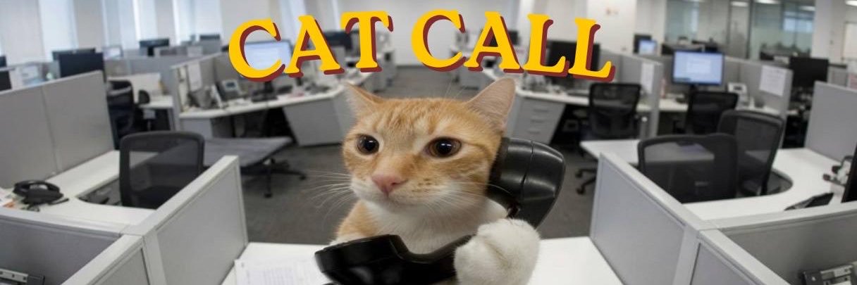 CatCallSol's profile banner image