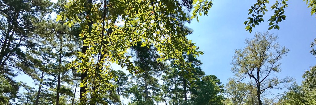2muchdonk's profile banner image
