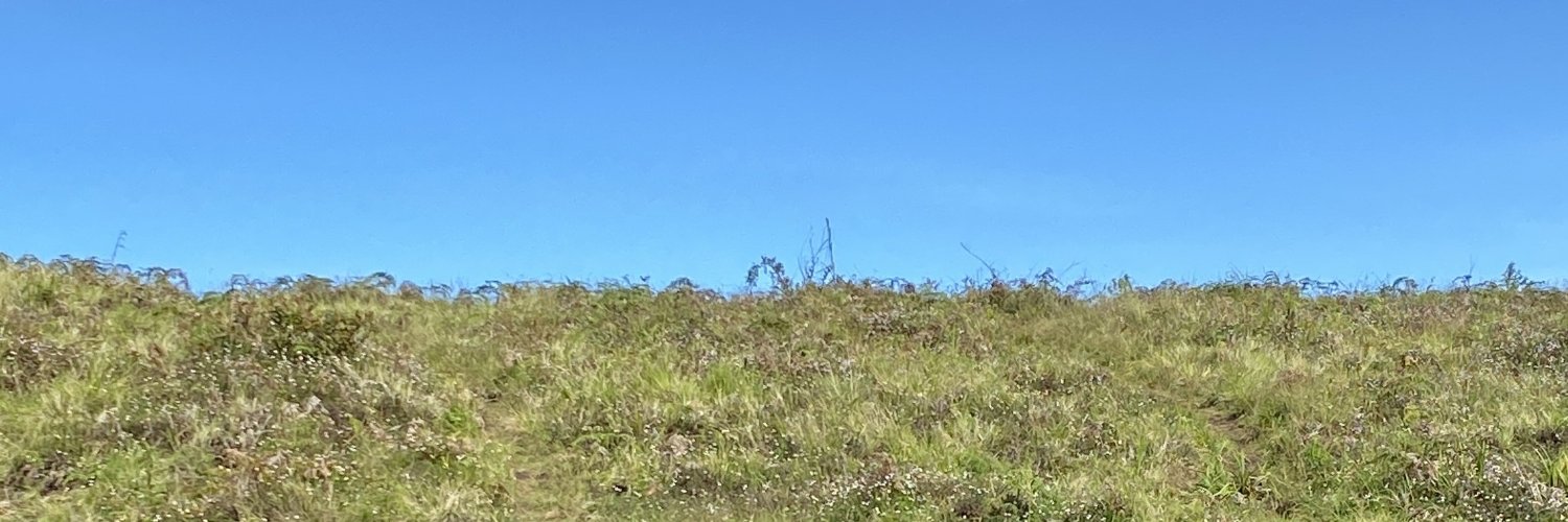 punkevery's profile banner image