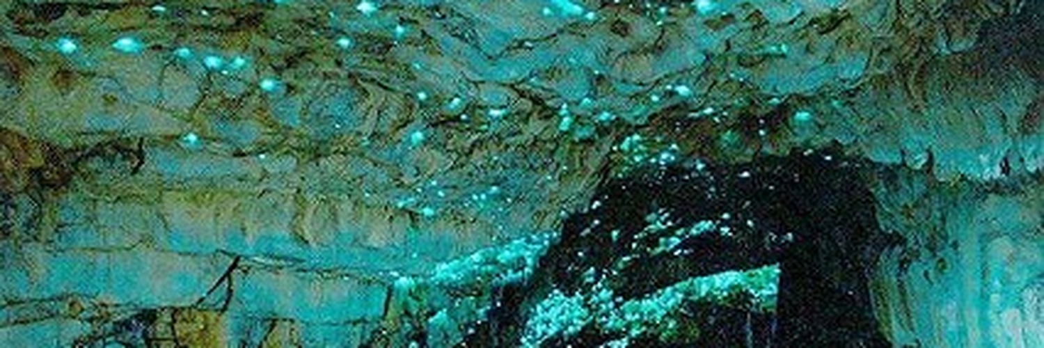 IsabellaKevr's profile banner image