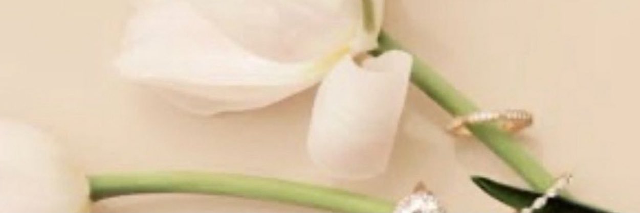 calm__flower's profile banner image