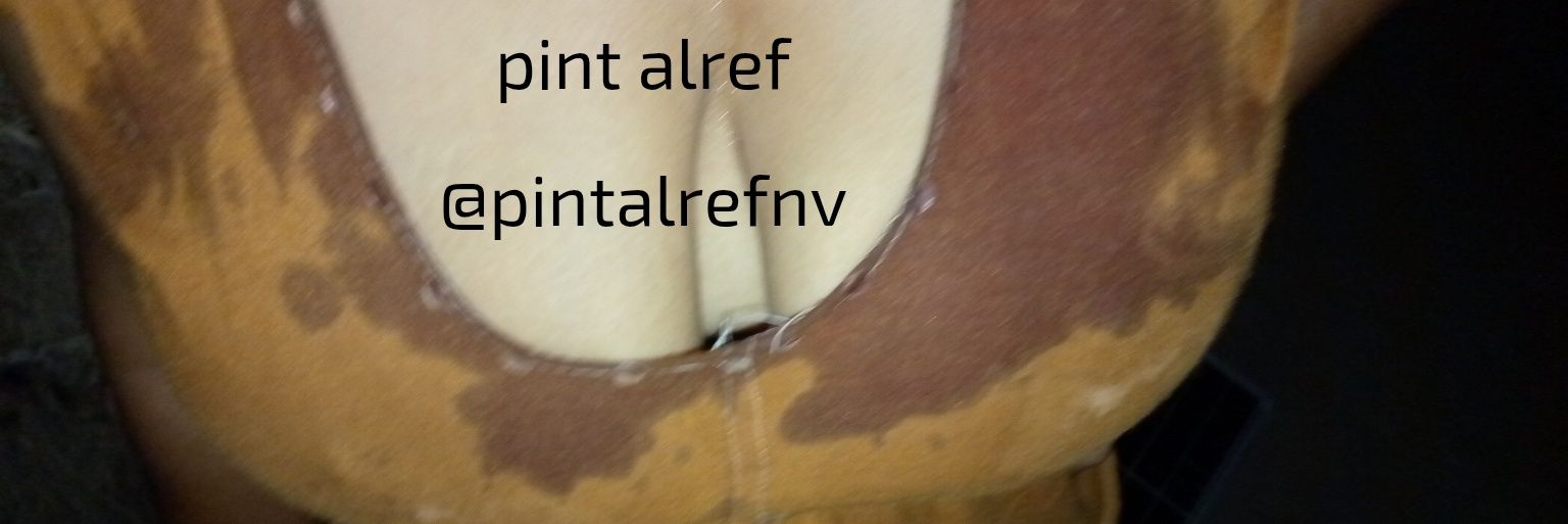 pintalrefnv's profile banner image