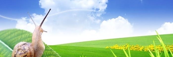 Vorkilo's profile banner image
