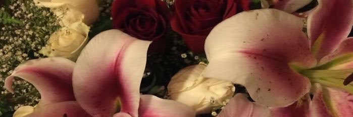 linpelllin's profile banner image