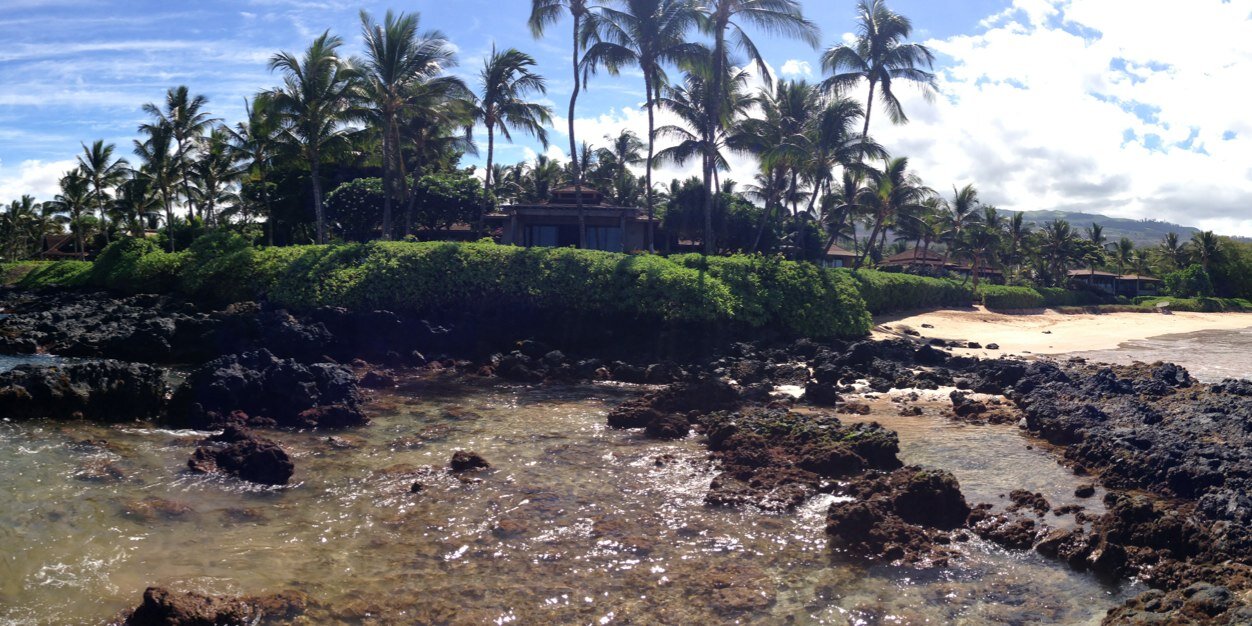 Yuri G. Rabinovich banner