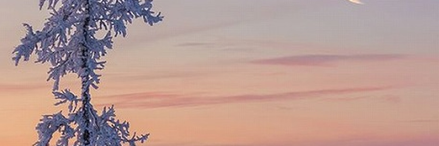 JosephineHhan's profile banner image