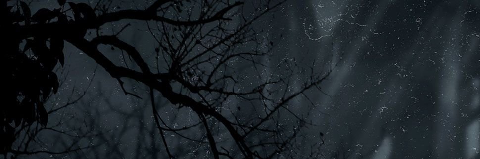 VtheDolly's profile banner image