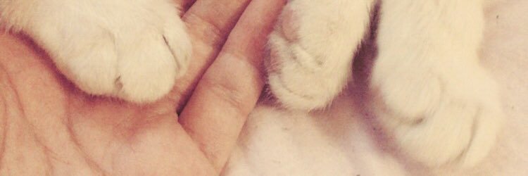 mrrr7321's profile banner image