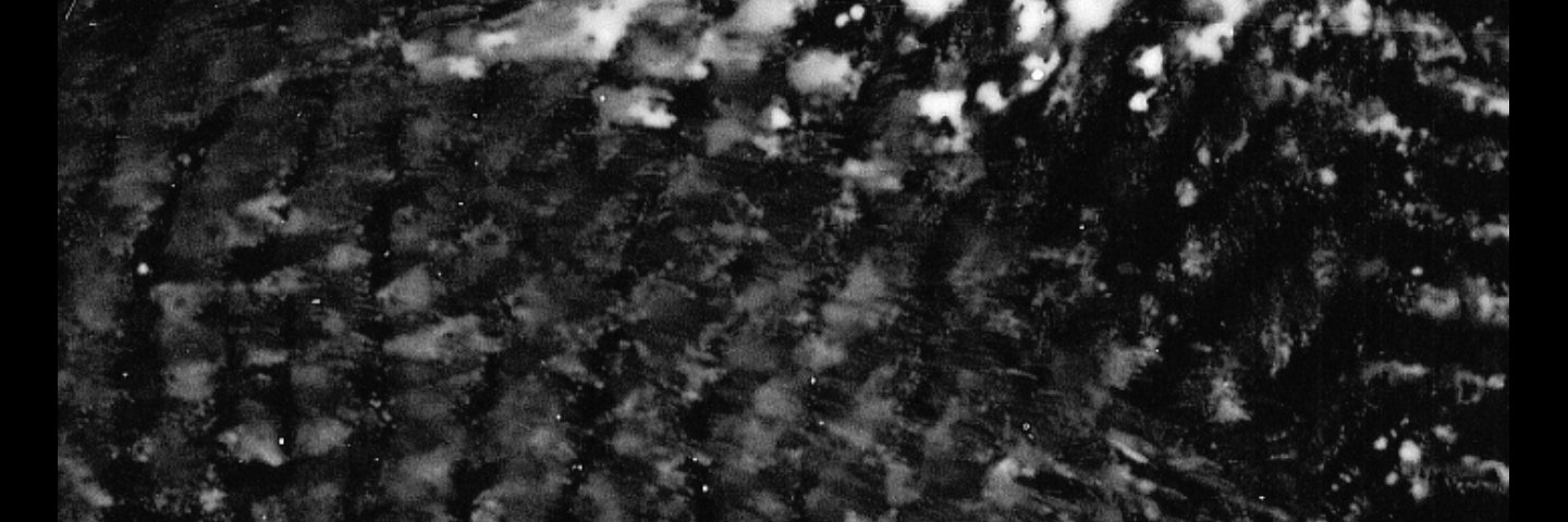 PeterBaltimore's profile banner image
