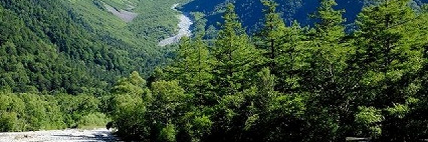 LilaShawbp's profile banner image