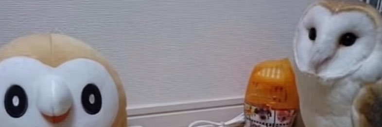 NegansBeard's profile banner image