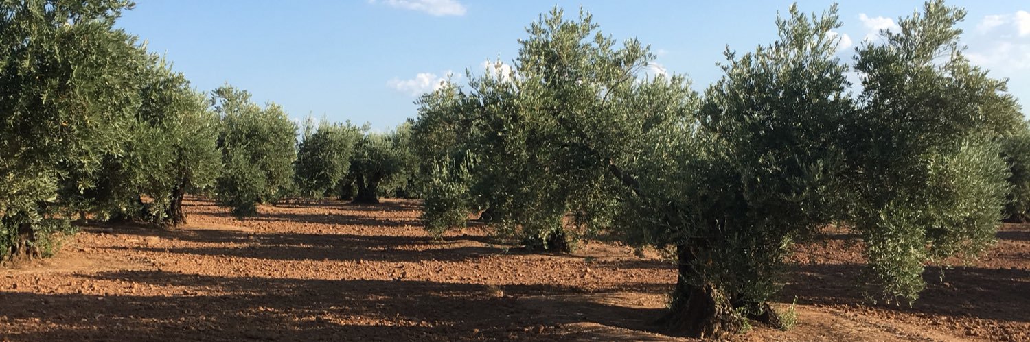 Manuel Pérez Segado banner