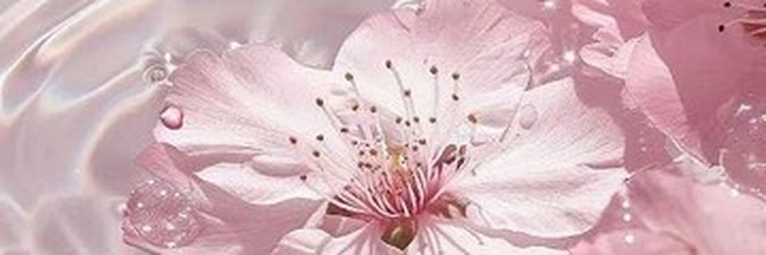 GraceBrandvug's profile banner image