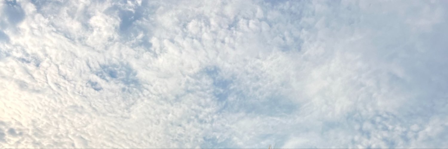 Manzsont's profile banner image