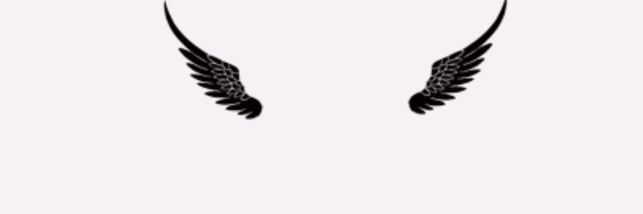 TRkjvm's profile banner image