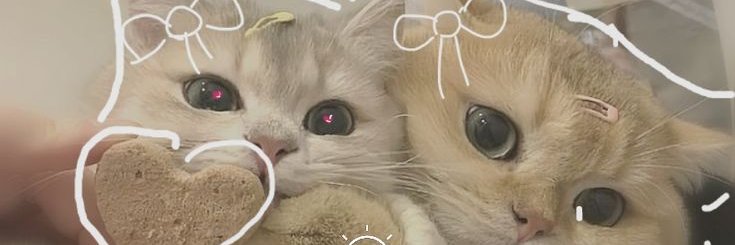 abbyydaisy's profile banner image