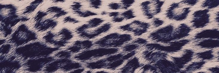 miray1v's profile banner image