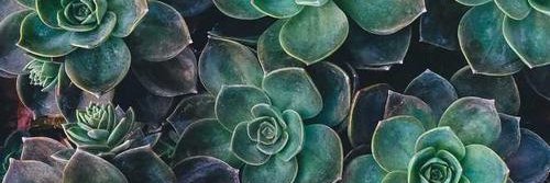 kjbldgm's profile banner image
