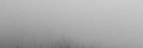 njcvmew's profile banner image