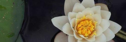 mpbjeap's profile banner image