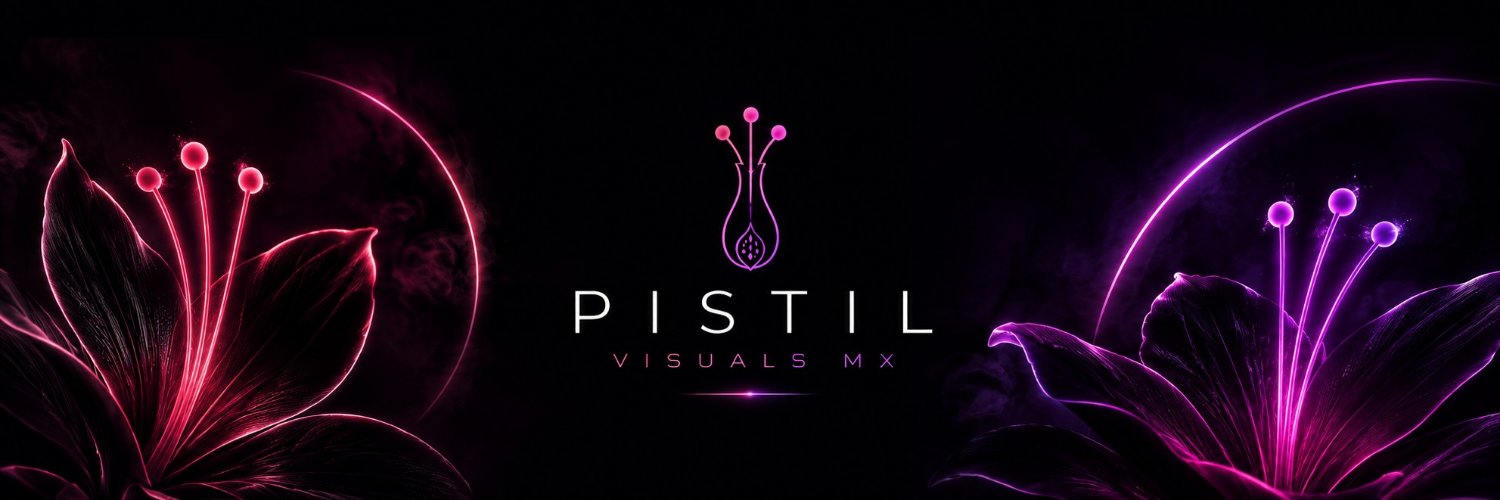 PistilVisualsMX's profile banner image