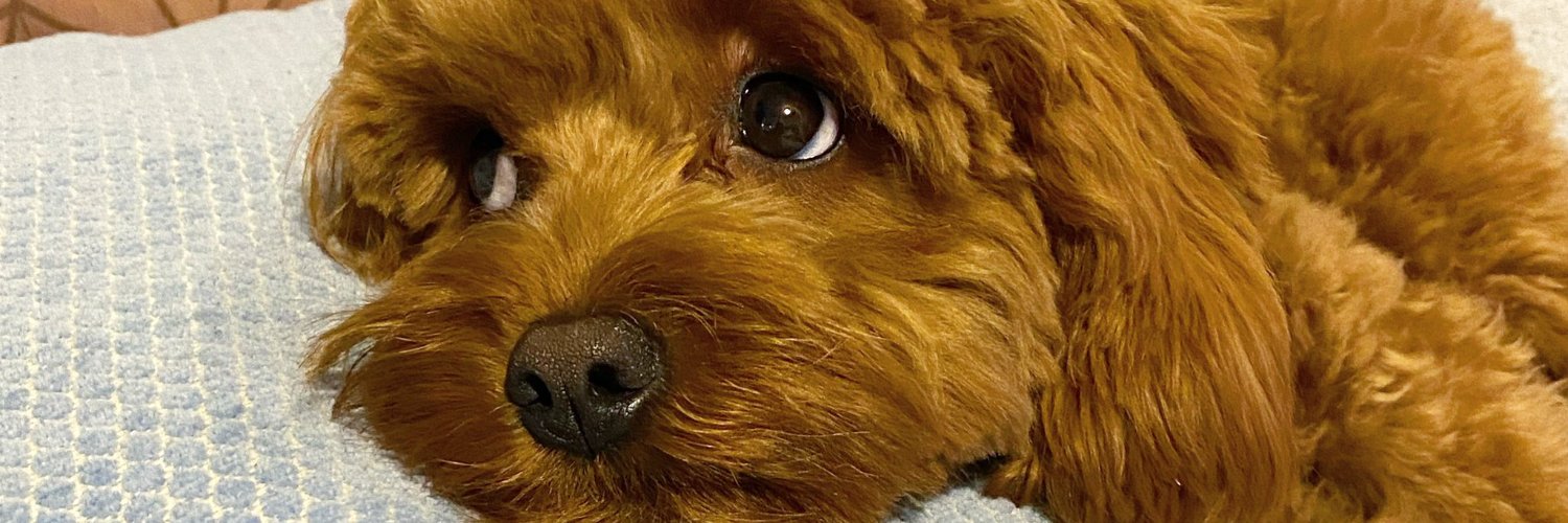 bex6's profile banner image