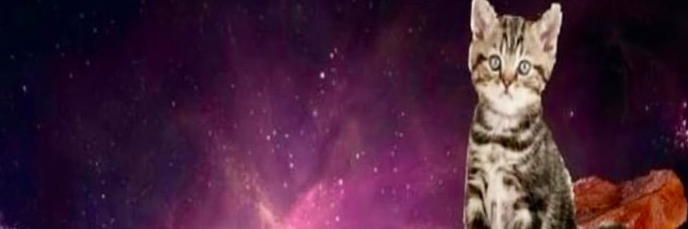 blairebear7's profile banner image
