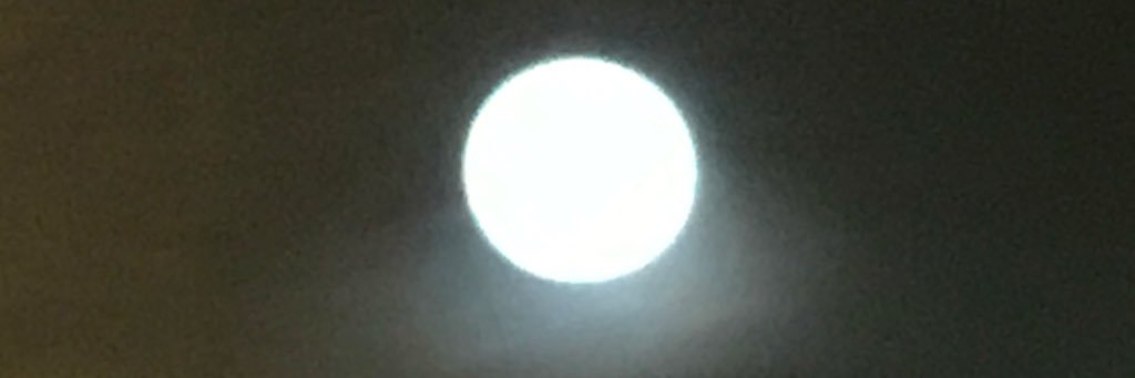 AGUSTIN MARTINEZ banner