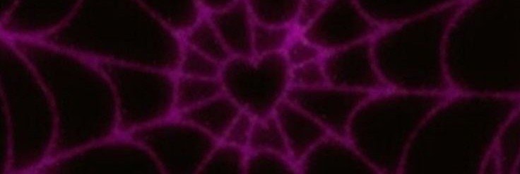 primadonna_dust's profile banner image